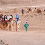 Marrakech: Agafay Camel Ride & Dinner with Fire Show Tour - Practical Details and What Makes It Great