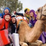 Marrakech: Agafay Desert, Atlas mountains & Waterfalls Tour - Transportation & Practical Details