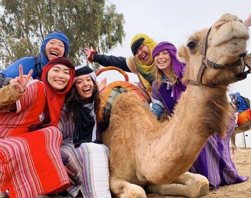 Marrakech: Agafay Desert, Atlas mountains & Waterfalls Tour - Transportation & Practical Details