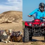 Marrakech: Agafay Desert Camel Ride and QuadBike Tour - The Itinerary Breakdown