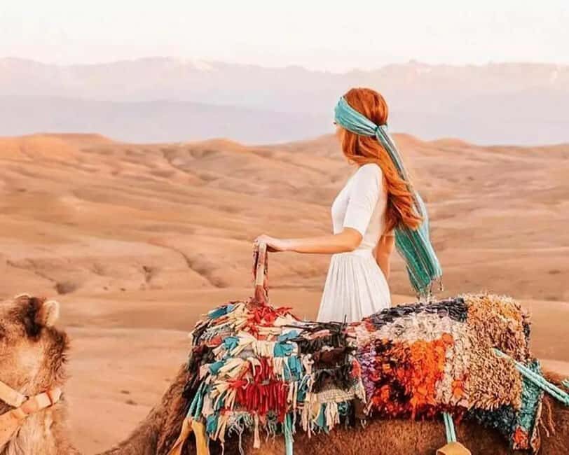 Marrakech: Agafay Desert Camel Rides, Dinner and Fire Show - The Value of This Tour