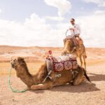 Marrakech: Agafay Desert Dinner with Music and Fire Show - Is This Tour Worth It?