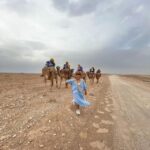 Marrakech: Agafay Desert Quad, Camel & Pool Trip with Lunch - Transport, Timing, and Group Sizes