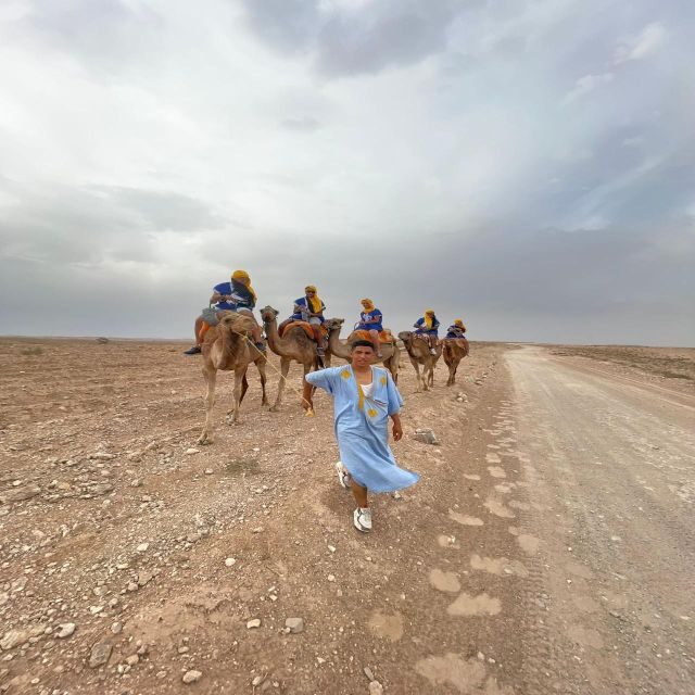 Marrakech: Agafay Desert Quad, Camel & Pool Trip with Lunch - Transport, Timing, and Group Sizes