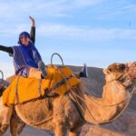 Marrakech: Agafay Desert Quad & Camel Rides with Dinner Show - The Sum Up