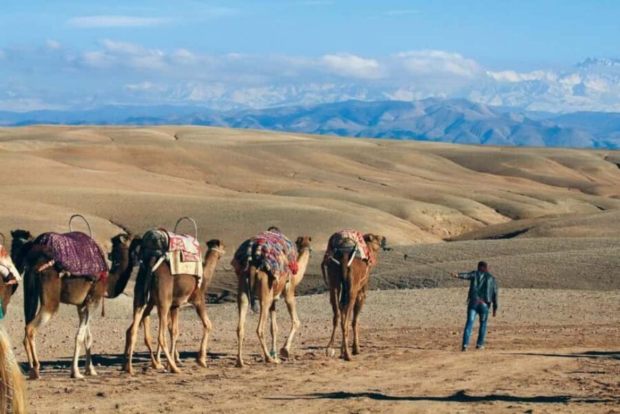 Marrakech: Agafay Desert Sunset, Camel Ride, Dinner and Show - The Sunset Camel Ride
