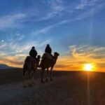 Marrakech: Agafay Desert Trip with Activities and Dinner - What Makes This Tour Stand Out?