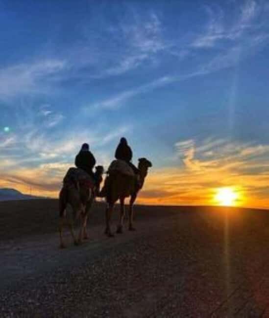 Marrakech: Agafay Desert Trip with Activities and Dinner - What Makes This Tour Stand Out?