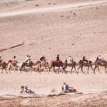 Marrakech: Agafay Ds Sunset with Dinner, Show & Tuareg Music - Who Would Love This Tour?