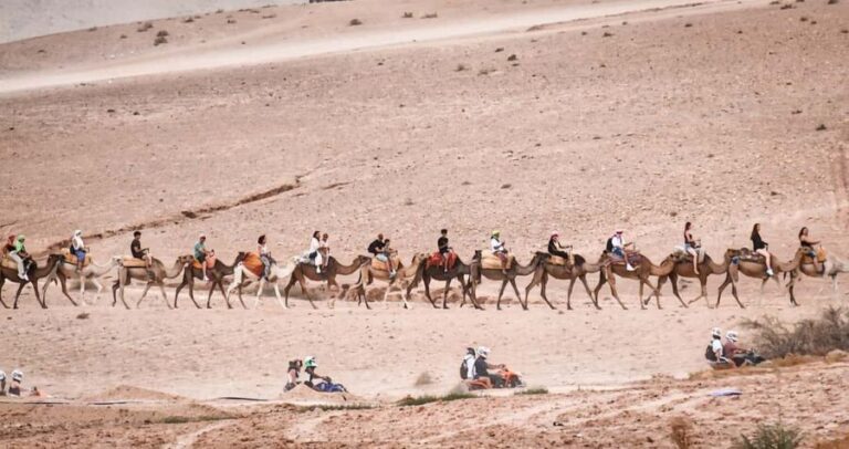 Marrakech: Agafay Ds Sunset with Dinner, Show & Tuareg Music - Who Would Love This Tour?