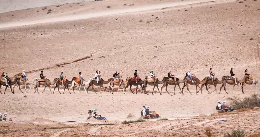 Marrakech: Agafay Ds Sunset with Dinner, Show & Tuareg Music - Who Would Love This Tour?