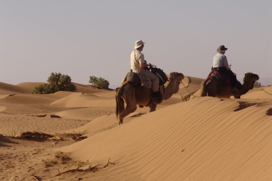 Marrakech: Ait Benhaddou and Ouarzazate Day Trip - What’s Included and What to Keep in Mind