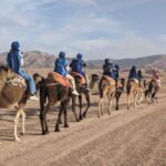 Marrakech: Atlas Mountains, 3 Valleys & Agafay Desert Tour - What’s Included and Practicalities