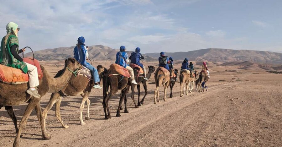 Marrakech: Atlas Mountains, 3 Valleys & Agafay Desert Tour - What’s Included and Practicalities