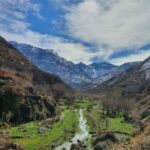 Marrakech: Atlas Mountains, Agafay Desert, Waterfall & Lunch - What Makes This Tour Stand Out?