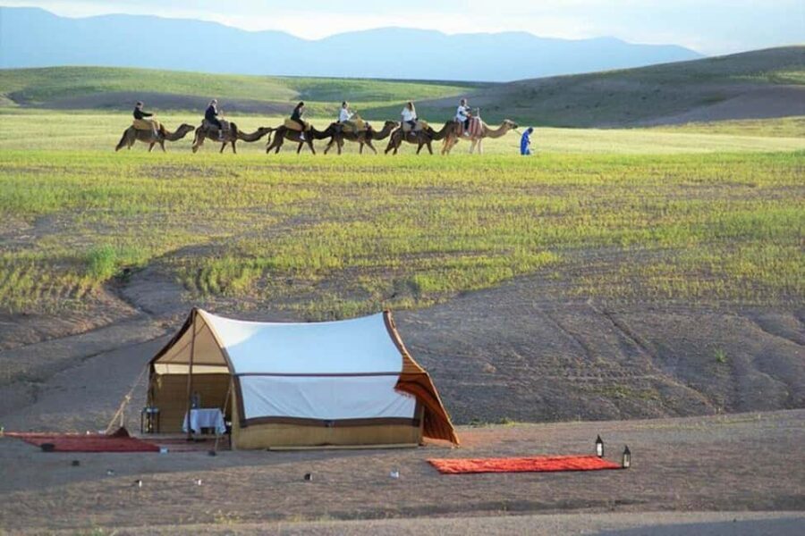 Marrakech: Atlas Mountains and 4 Valleys Tour with Lunch - Why This Tour Is Worth It