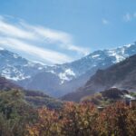Marrakech: Atlas Mountains and Agafay Desert Trip with Lunch - Authentic Experiences and Guide Expertise