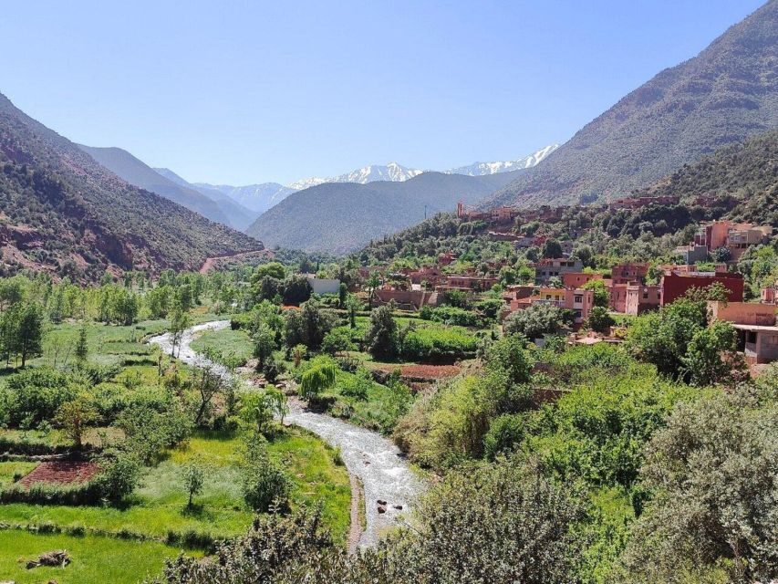 Marrakech: Atlas Mountains, Ourika Valley, Waterfall & Lunch - The Transport & Group Size: Why It Matters