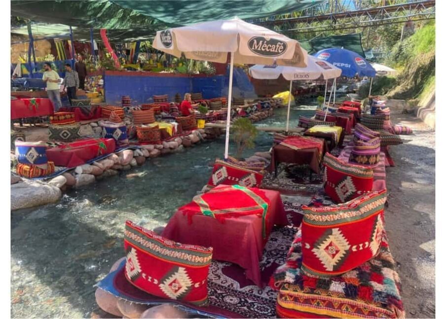 Marrakech: Atlas Mountains, Ourika Valley, Waterfall & Lunch - Introduction to the Tour Experience