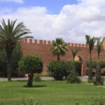 Marrakech - Botanical Tour including Majorelle Gardens - Who is this tour best suited for?