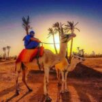 Marrakech: buggy Palmeraie Tour Camel Ride with Tea break - Practical Details & Tips for Your Trip