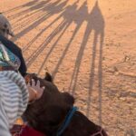 Marrakech: Camel & Quad Bike Tour with Sunset, Dinner & Show - Why This Tour Works