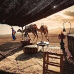 Marrakech: Camel & Quad Bike Tour with Sunset, Dinner & Show - What’s Included and What to Keep in Mind