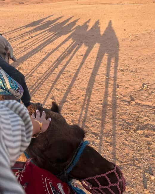 Marrakech: Camel & Quad Bike Tour with Sunset, Dinner & Show - Why This Tour Works