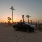 Marrakech camel ride in the palm grove - The Itinerary Breakdown