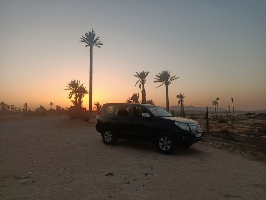 Marrakech camel ride in the palm grove - The Itinerary Breakdown