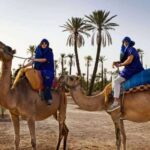 Marrakech: Camel Ride in the Palm Grove - Who Would Love This Tour?