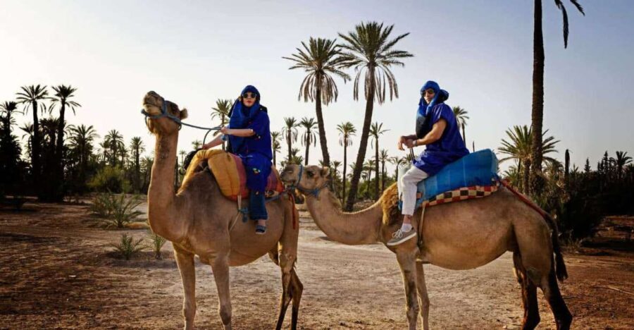 Marrakech: Camel Ride in the Palm Grove - Who Would Love This Tour?