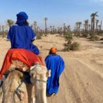 Marrakech camel ride in the palm grove - The Experience: Details and Highlights