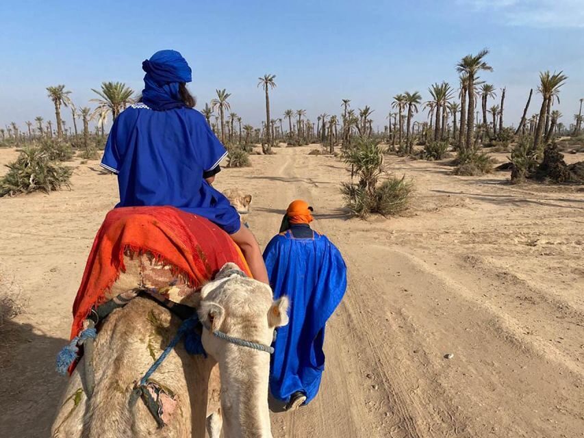 Marrakech camel ride in the palm grove - The Experience: Details and Highlights