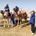 Marrakech: Camel Safari at Agafay Desert - The Value and Why It’s Worth It