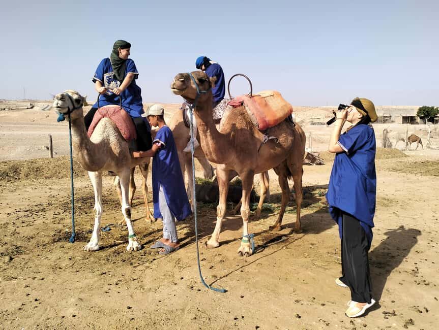 Marrakech: Camel Safari at Agafay Desert - The Value and Why It’s Worth It