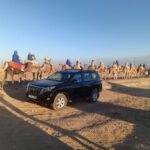 Marrakech: Camel Safari at Agafay Desert with Lunch - Transport and Logistics