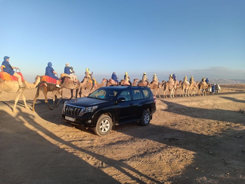 Marrakech: Camel Safari at Agafay Desert with Lunch - Transport and Logistics