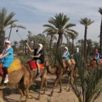 Marrakech: Camel Trek - A Detailed Look at What to Expect from the Marrakech Camel Trek