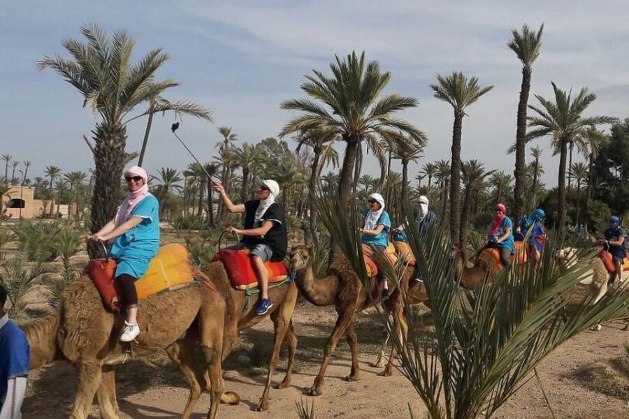 Marrakech: Camel Trek - A Detailed Look at What to Expect from the Marrakech Camel Trek