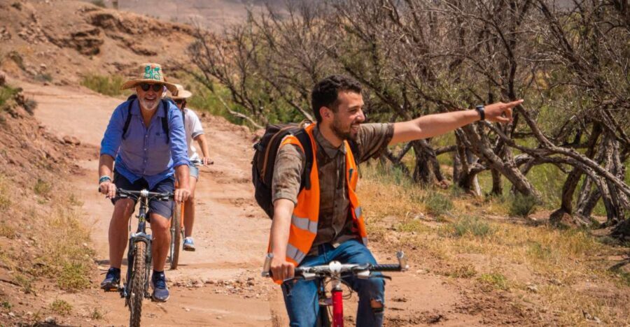 Marrakech: Cycling Tour in Palm Groove with Local Breakfast - Itinerary Breakdown: From City to Village Life