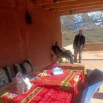Marrakech Day Trip To Ourika Valley Waterfall Atlas Mountain - What Makes This Tour Valuable?