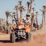 Marrakech: Desert and Palm Grove Quad Tour with Tea - Deep Dive into the Experience
