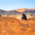 Marrakech: Dinner and Quad bike Desert Agafay Stars & show - What Sets This Tour Apart?