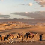 Marrakech: Discover Magic Agafay Desert with Hotel Pickup - Who Will Love This Tour?