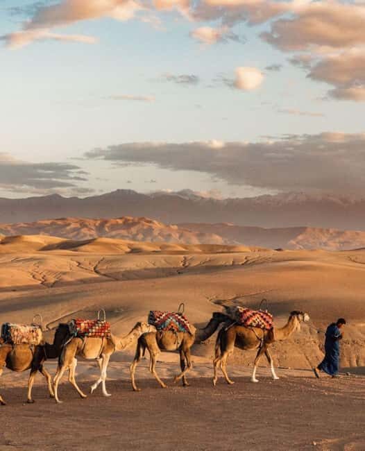 Marrakech: Discover Magic Agafay Desert with Hotel Pickup - Who Will Love This Tour?