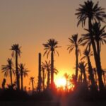 Marrakech: Dunes of the Palmeraie Quad Bike Ride with Tea - Safety First — Briefing and Gear