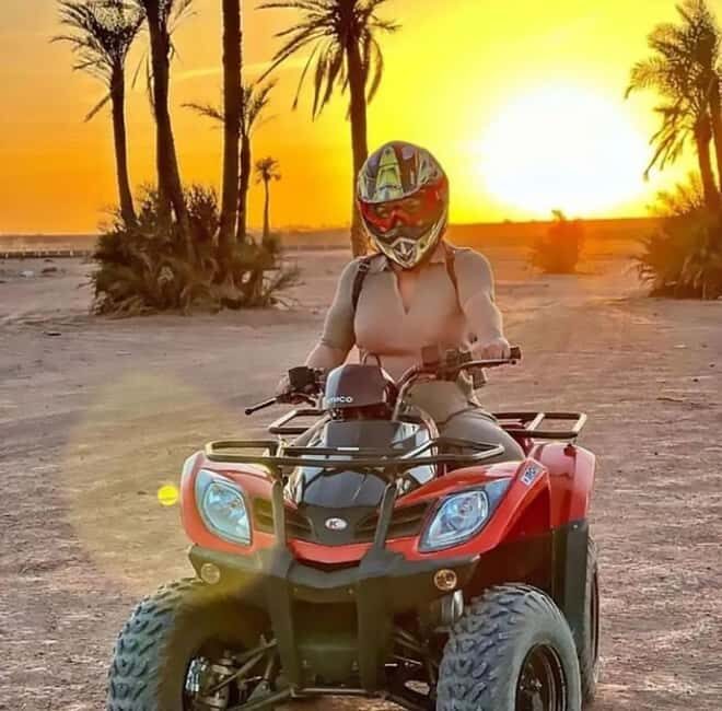 Marrakech, explore the palm grove desert by quad bike - Real Experiences and Honest Feedback