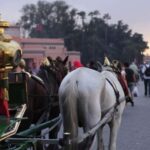 Marrakech Full-Day Guided Tour with Lunch - Authenticity and Practical Considerations