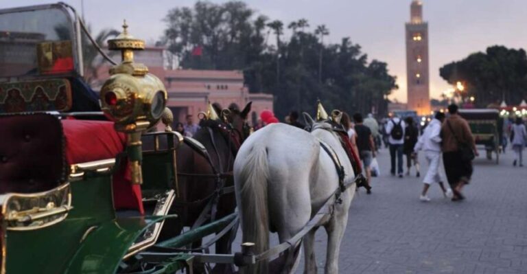 Marrakech Full-Day Guided Tour with Lunch - Authenticity and Practical Considerations